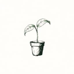 Friendly engraved illustration of a small hopeful sprout in a terracotta pot leaning toward soft light